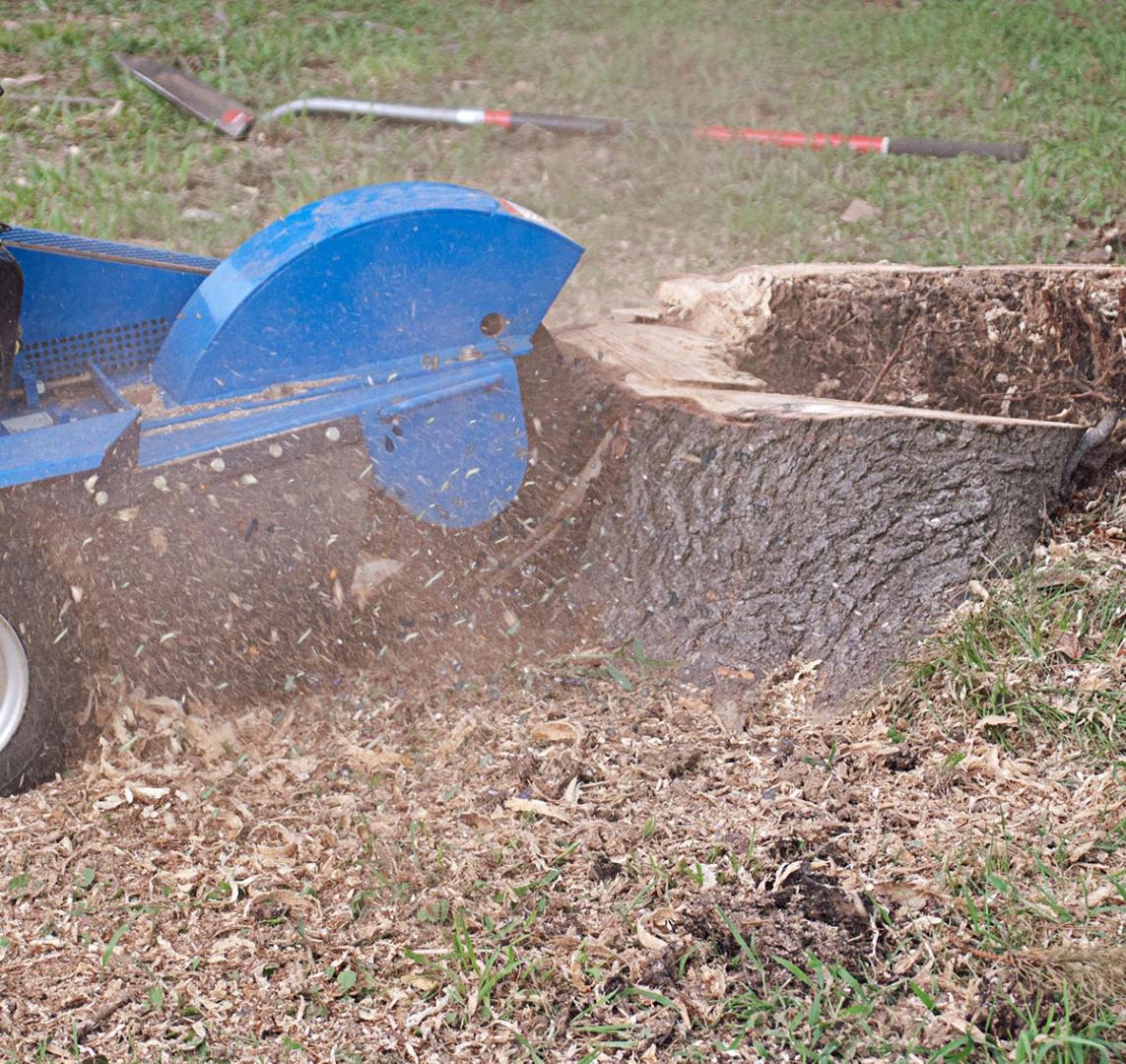 Travaux de dessouchage Bergerac